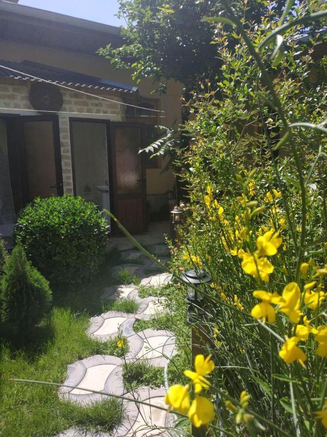 Hostel & Guest House Sim Sim Near The Church Samarkand Exterior foto