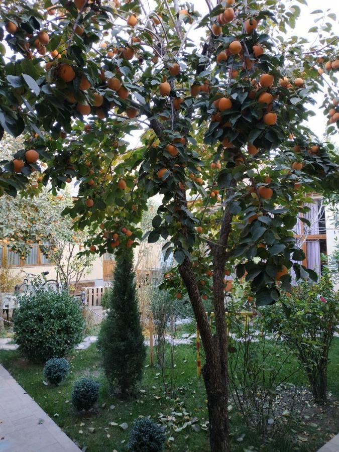 Hostel & Guest House Sim Sim Near The Church Samarkand Exterior foto
