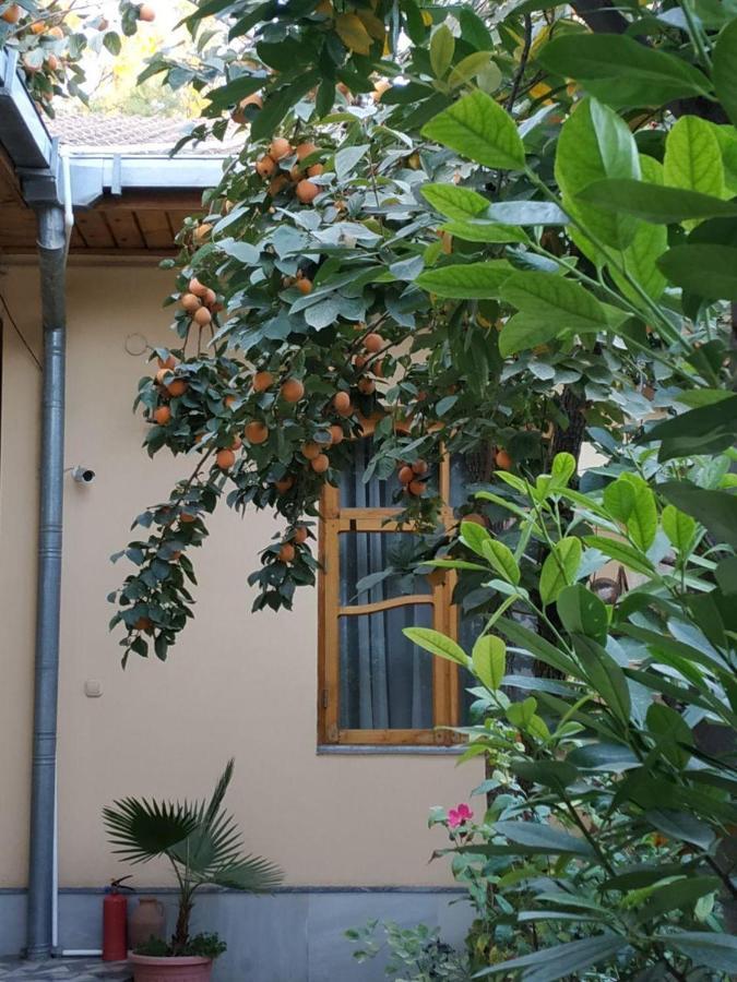 Sim Sim Hostel & Guest House Near The Church Samarkand Exterior foto