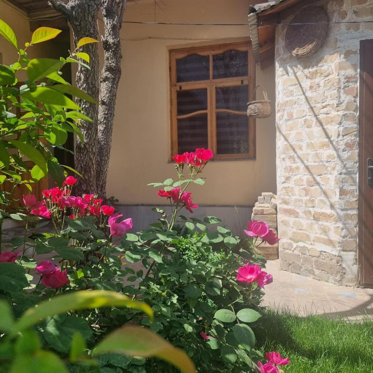 Hostel & Guest House Sim Sim Near The Church Samarkand Exterior foto